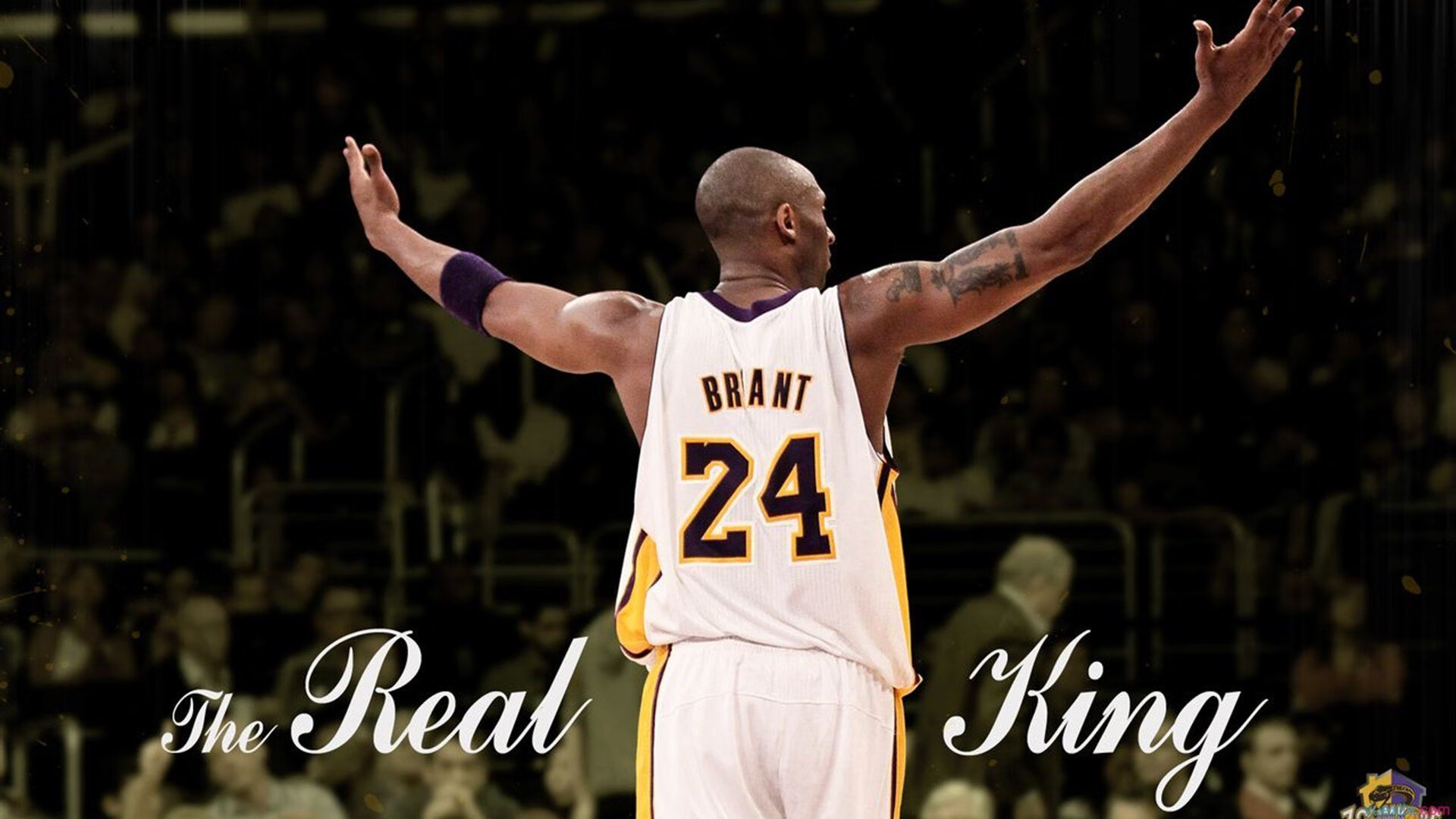 EDG战队粉丝活动热烈进行,edg官方粉丝群是多少号