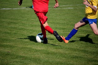 开云官方网页登录-世界皮划艇世界杯中国男队勇摘银牌，世界皮划艇冠军男子